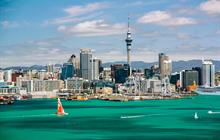 Explora todos los tours en Auckland