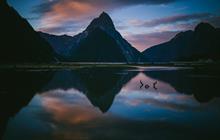 Explore all tours in Milford Sound