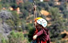 Canopy Tours 