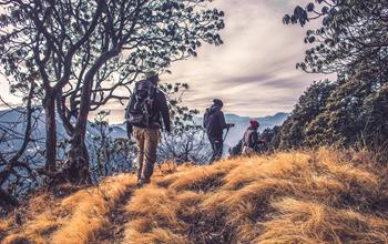 Things To Do In Sydney: Hiking Tours