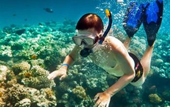 Things To Do In Culebra Island: Water Activities