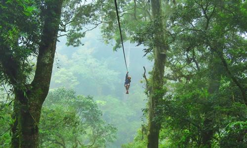 Hombre haciendo el tour de Canopy en Boquete