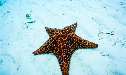 San Blas Tour natural swimming pools