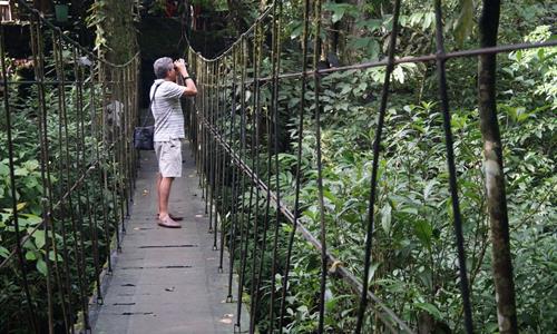 Trail of El Macho Waterfall