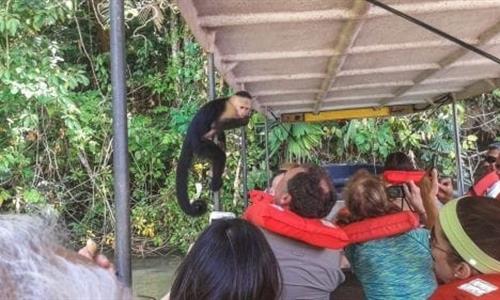 White-faced Monkey in a boat with Tourists