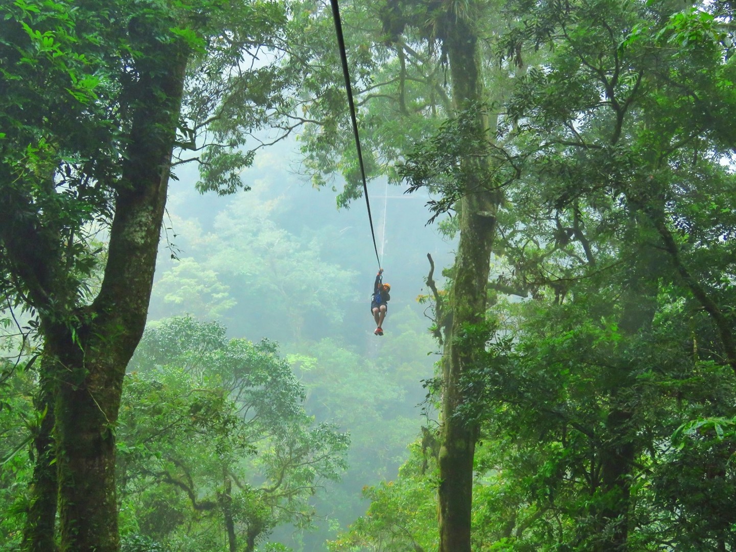 Experience the Thrill of Zip Lining in Panama City Beach: A Comprehensive Guide