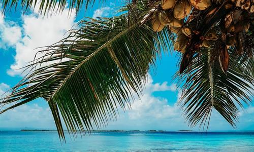 San Blas Saint Juan's summer San Blas Saint Juan's summer