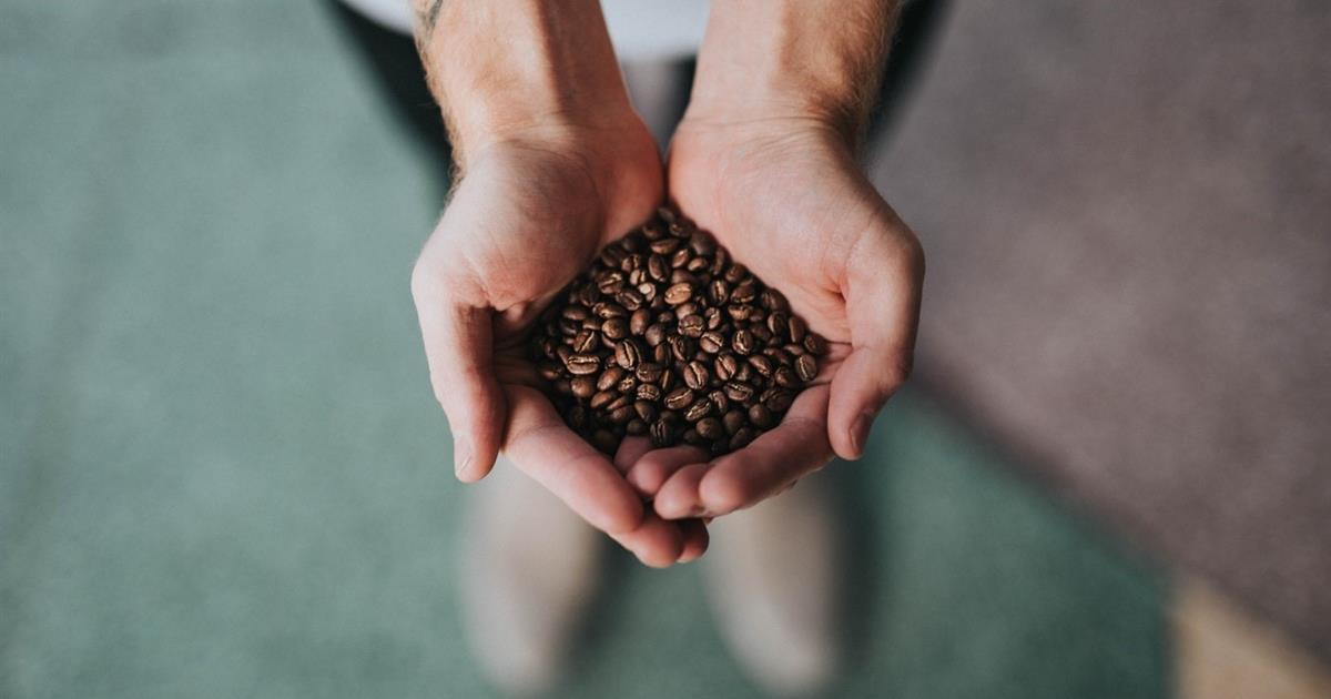 Mejores Tours de Café En Costa Rica Tiqy