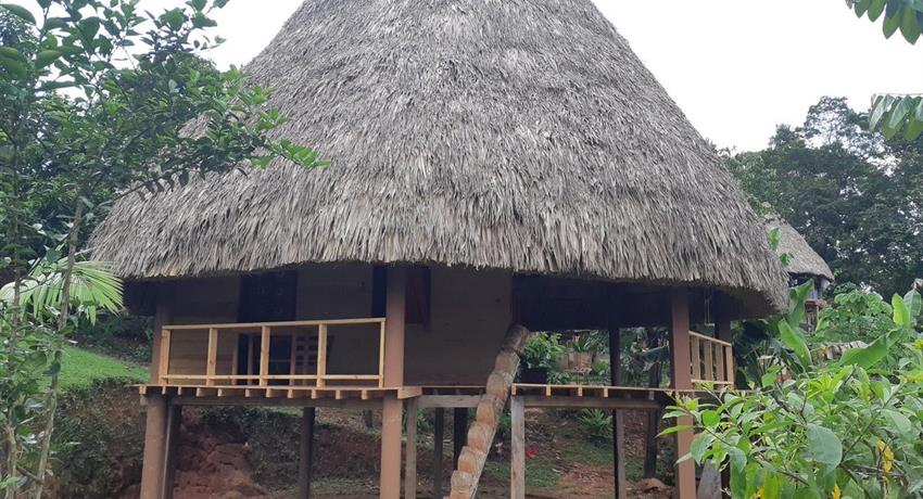 Embera Katuma 1, Tour de 1 Noche y 2 Días en la Comunidad Emberá Katuma Desde la Cuidad de Panamá