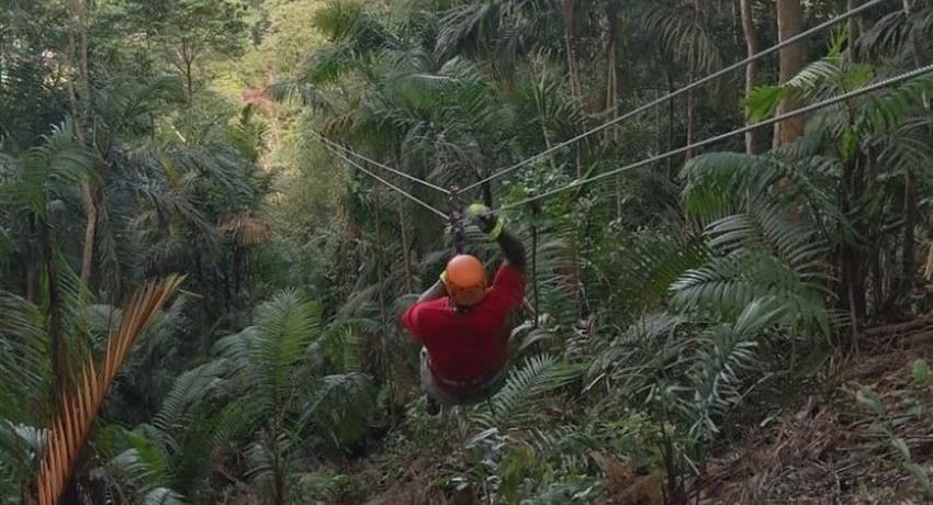10 LINE CANOPY TOUR IN GAMBOA FROM PANAMA CITY 5, 10 Line Canopy Tour in Gamboa from Panama City
