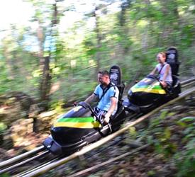 2 Days Jamaica Bobsled and Irie Blue Hole Tours