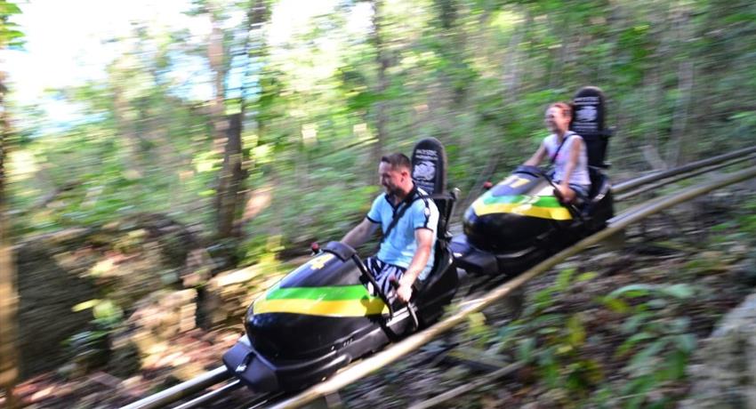 2 Days Jamaica Bobsled and Irie Blue Hole Tours, 2 Days Jamaica Bobsled and Irie Blue Hole Tours