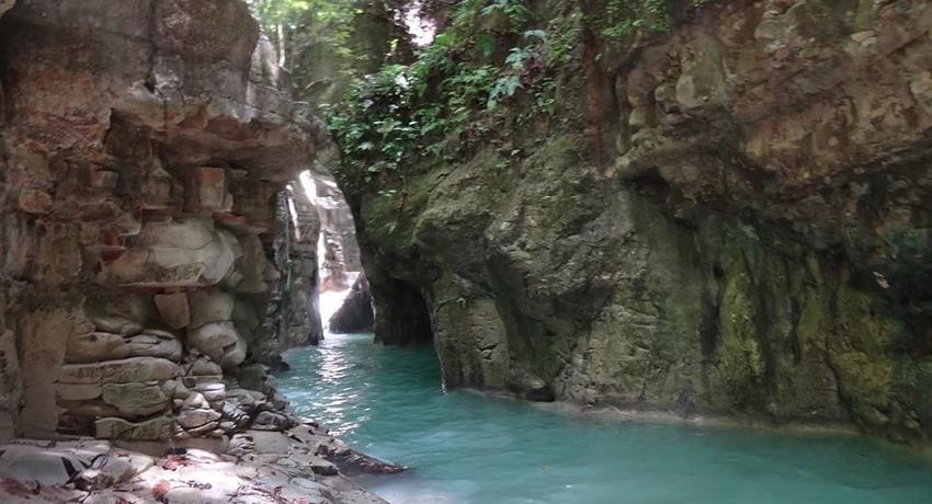 27 Waterfalls of Damajagua Tour, 27 Cascadas de Damajagua