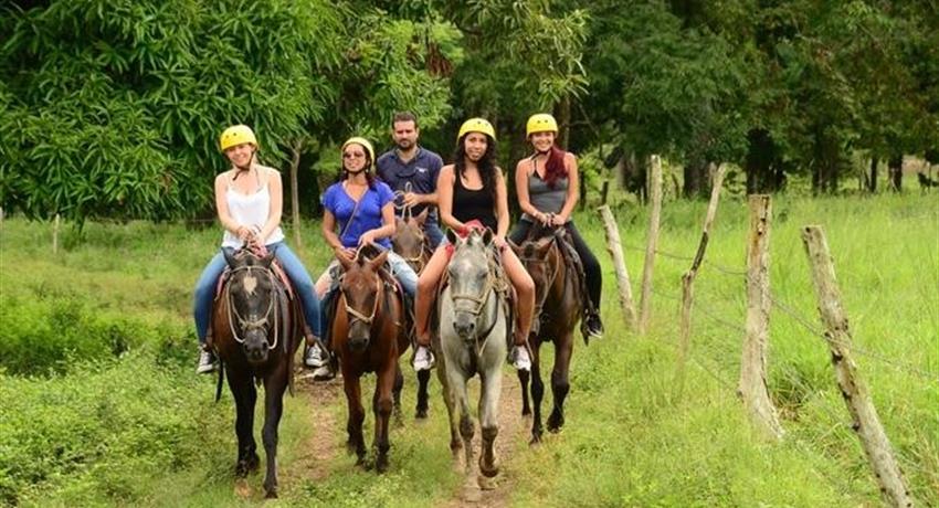 Horses, 3-Hour Horseback Ride at Los Sueños