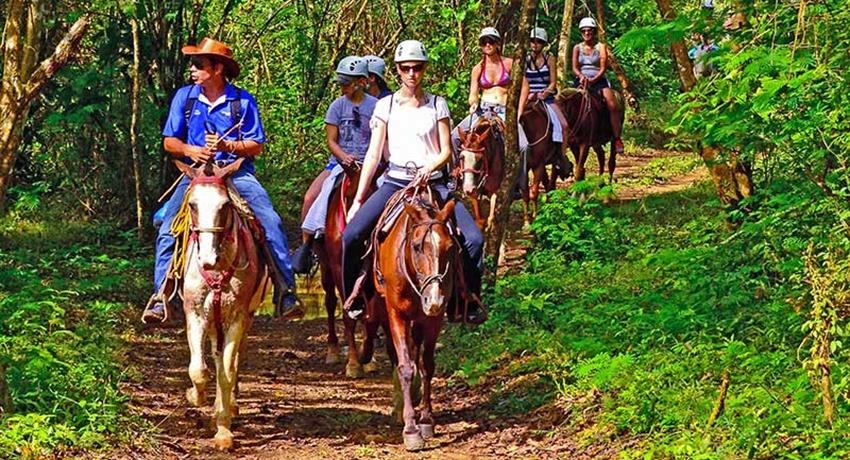 Horses, 3-Hour Horseback Ride at Los Sueños