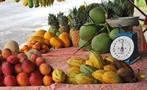Fruit, 7-Hour Tour Cahuita National Park