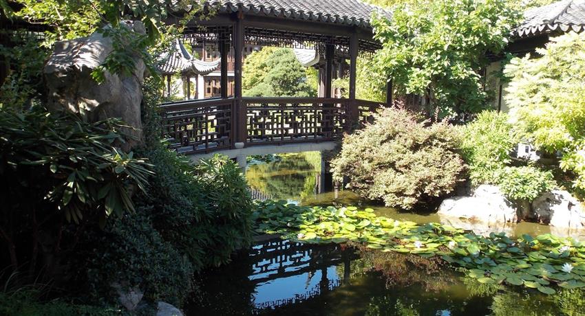 Chinese Garden, 8 horas Tours de los Jardines de Portland