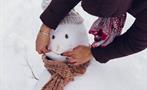 Building a Snowman in sierra nevada, Adventure Day Trip in Sierra Nevada