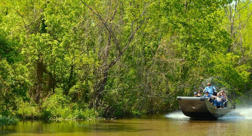 Panoramic tour through the swamp - tiqy, Airboat Tour