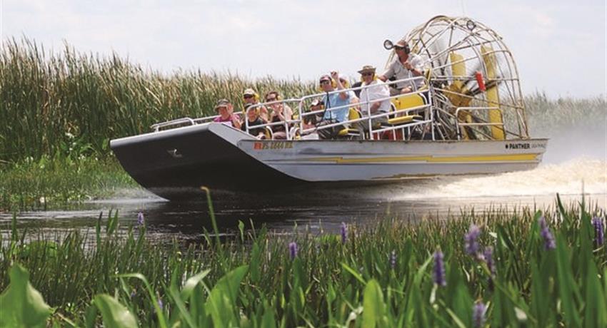 High speed - tiqy, Airboat Tour