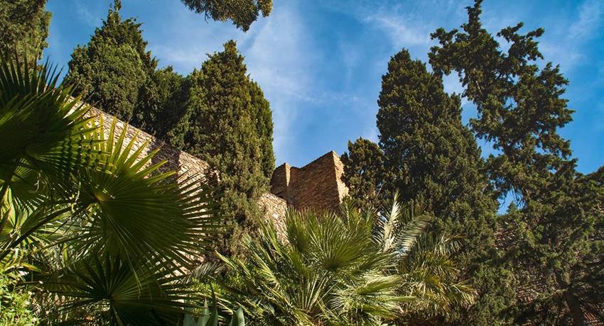 Garden that surrounds the alcazaba - tiqy, Tour a Pie Alcazaba