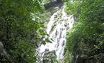 Forest Anton Valley Waterfall Panama, Anton Valley Full Day Tour From Beach Hotels