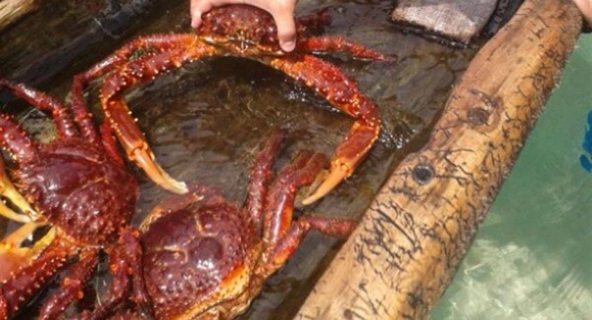 Crab Lunch, Tour de un Día Completo a San Blas Desde la Ciudad de Panamá