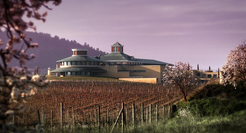 Winery in Vivanco - tiqy, Entre la Cultura y el Vino 