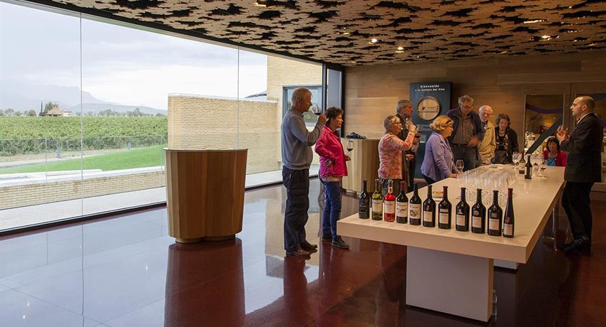 Wine tasting in old winery - tiqy, Entre la Cultura y el Vino 