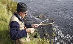 fishing of the day - tiqy, Break and Adventures in Upper River Tees