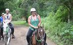 Horse, Buena Vista 8-Hour Adventure