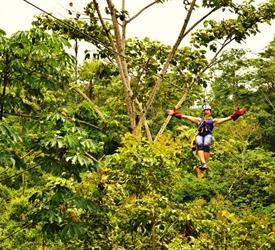 Jungle Experience with Canopy Tour