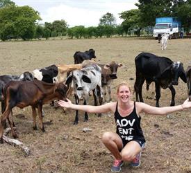 Cattle Farm, Cheese Factory and Beach Day
