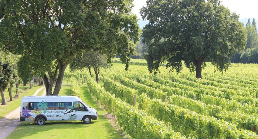 vineyard tours brighton