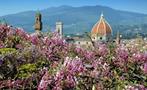 Cathedral of Wistoria - tiqy, City Centre Walking Tour: The Marvels of Florence