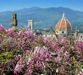 Tour a Pie en el Centro de la Ciudad: Las Maravillas de Florencia