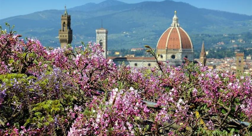 Cathedral of Wistoria - tiqy, City Centre Walking Tour: The Marvels of Florence