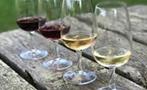Cold Climate Wines, Vinos de Clima Frío del Niágara