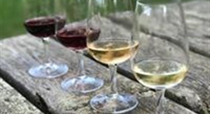 Cold Climate Wines, Vinos de Clima Frío del Niágara