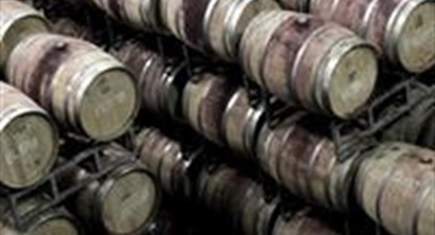 Wine Cellar, Vinos de Clima Frío del Niágara