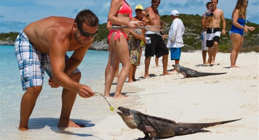 2, Iguana Island Snorkeling