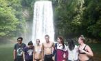 Day Tour of Atherton Tablelands Waterfalls Cairns, Excursión de un Día a las Cascadas de Atherton Tablelands en Cairns