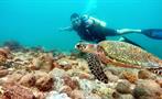 1, Discover Scuba Diving Course