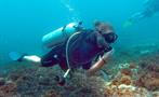 5, Discover Scuba Diving Course
