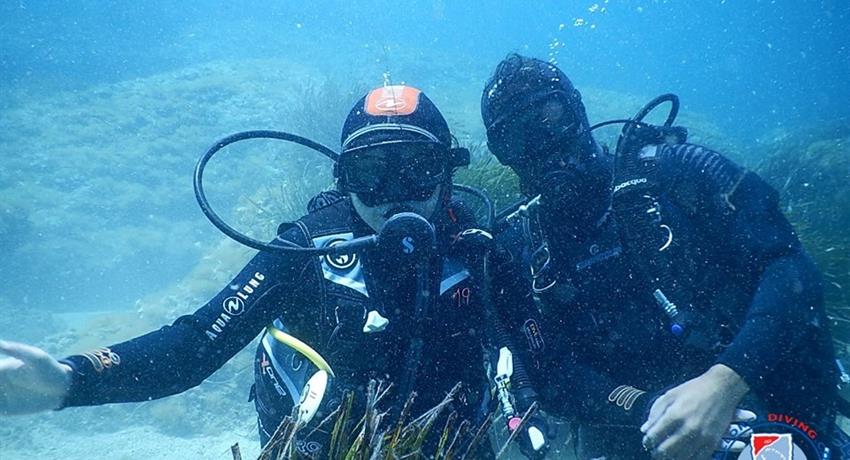 Dive day tour with friends, Dive Trip