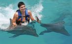 2, Nadar con Delfines