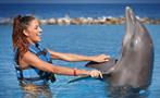 3, Dolphin Royal Swim at Dolphin Cove Ocho Rios