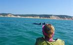 woman in kayak tiqy, Dolphin View Kayak 