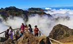 East Madeira Peaks Full Day Tour, Día Completo por los Picos del Este de Madeira