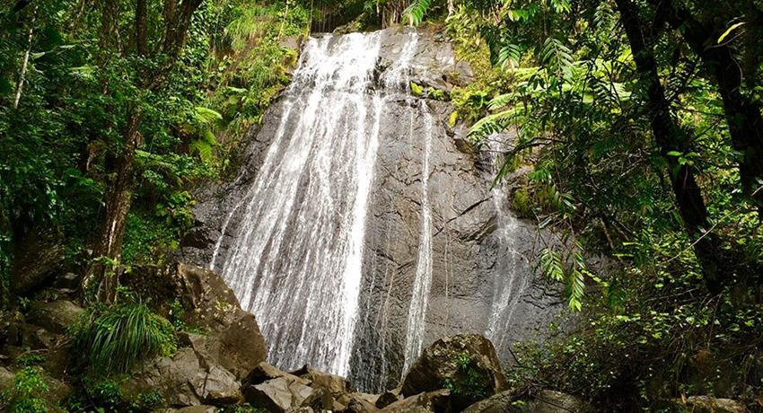 rainforest and bio bay combo waterfall, El Yunque Rainforest And Kayaking Combo Tour
